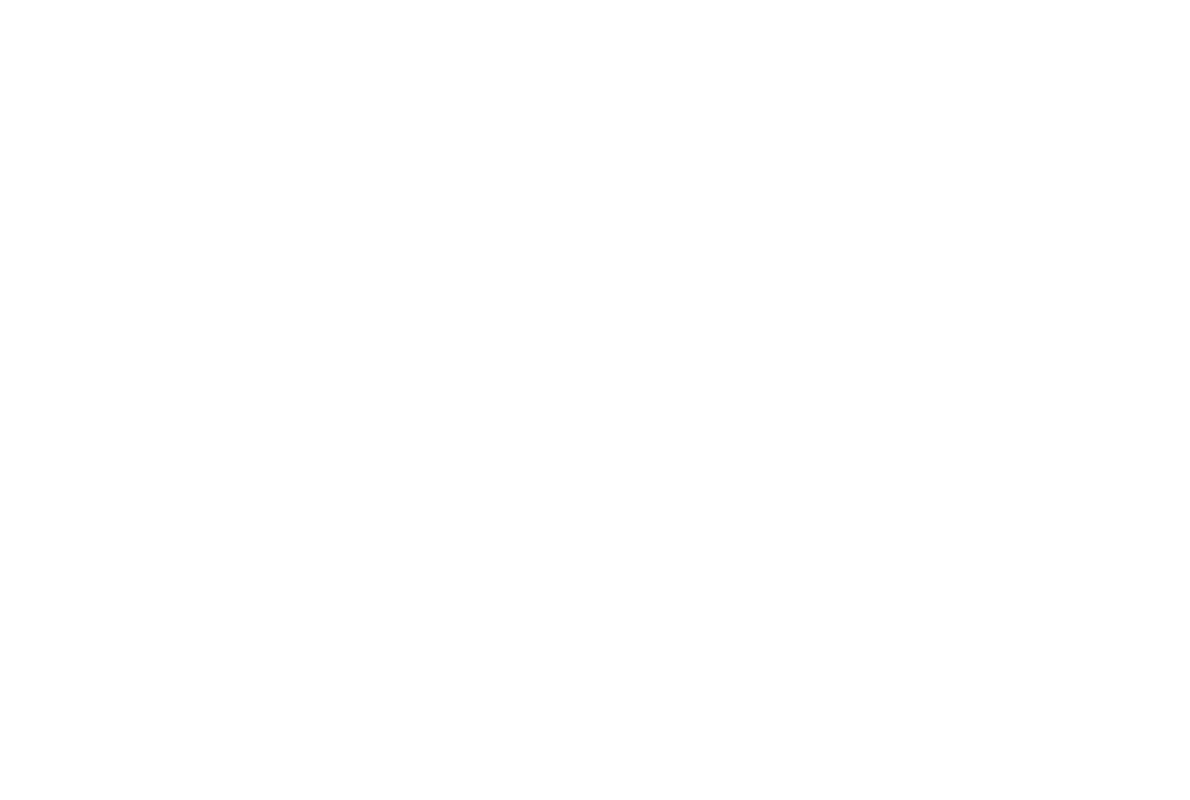 afrovengers